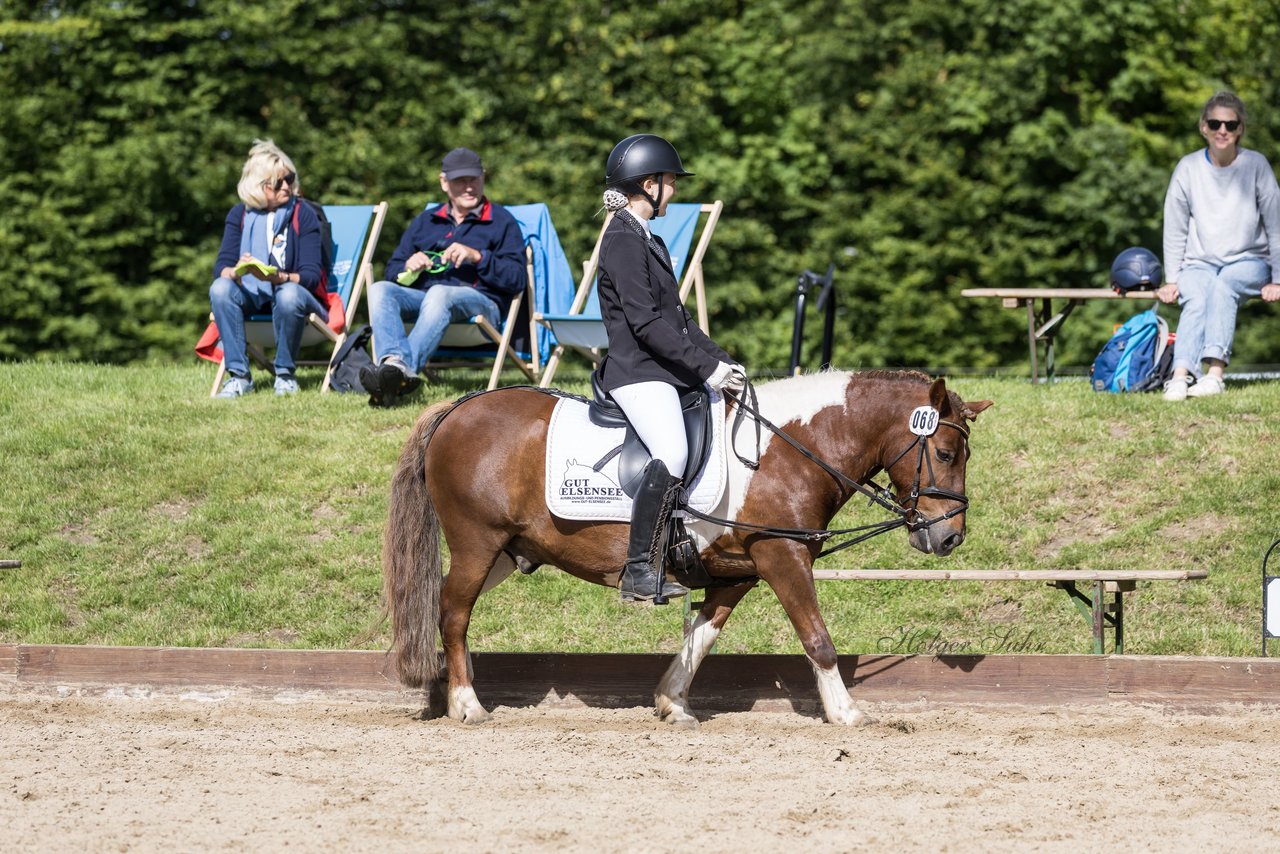 Bild 256 - Pony Akademie Turnier